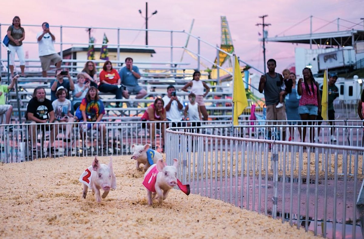 5 Things to Know about the Tennessee State Fair Nashville Lifestyles